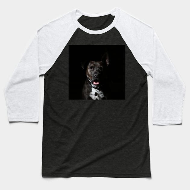 pit bull Baseball T-Shirt by DonVector